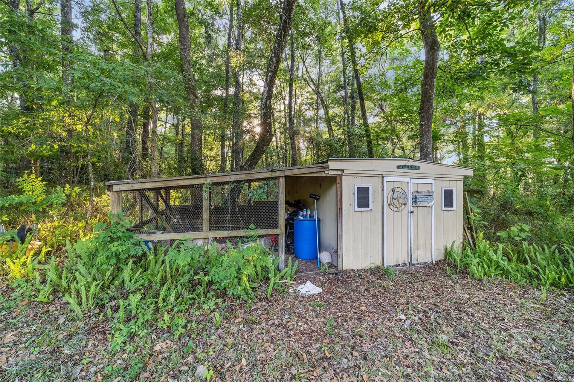 3747 SE 126th Place Belleview FL 34420