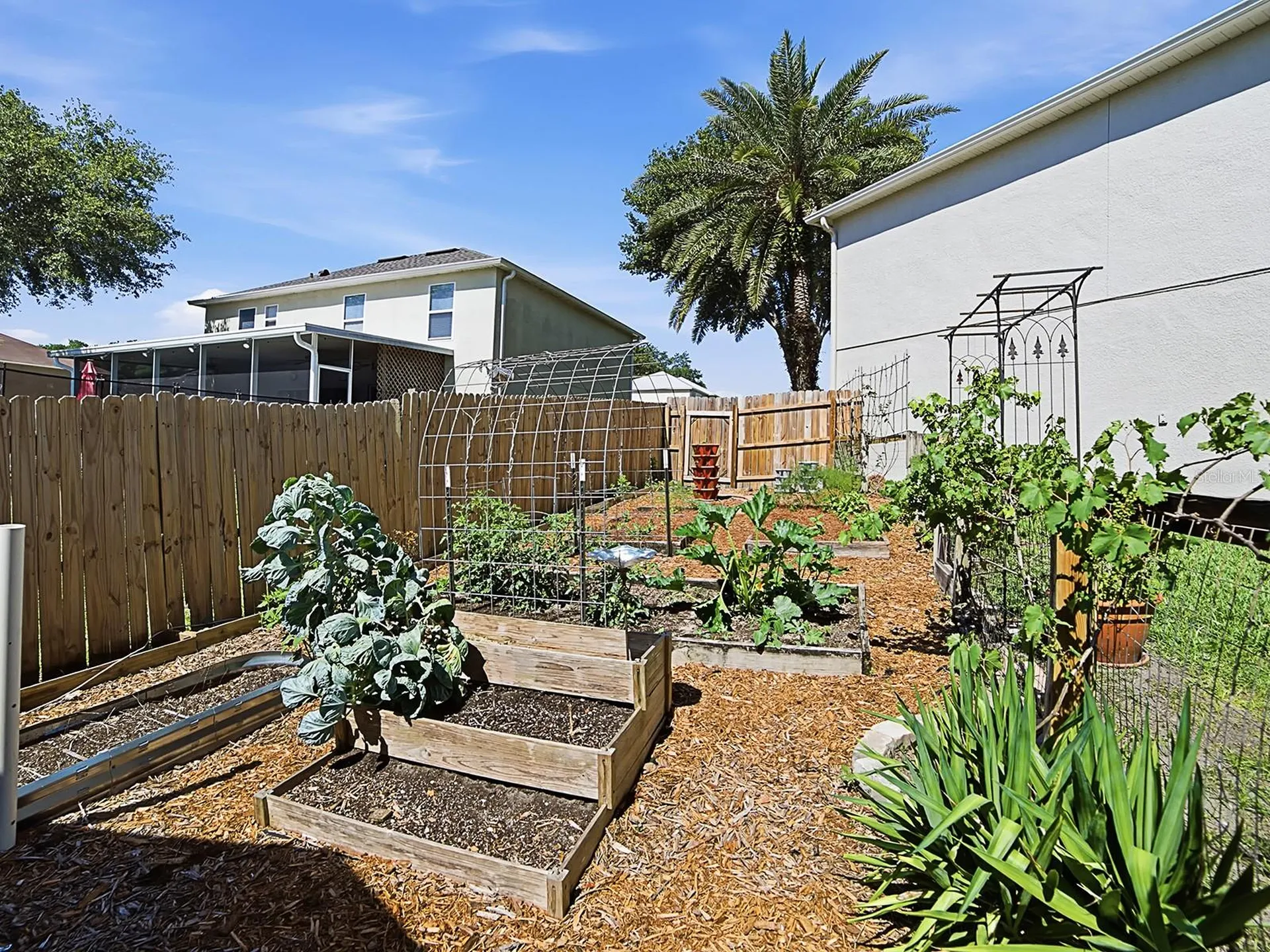2542 Sheila Drive Apopka FL 32712