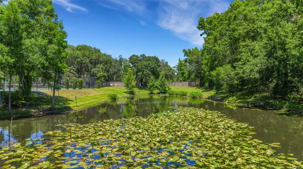 6560 Lake Clark Drive Lakeland FL 33813