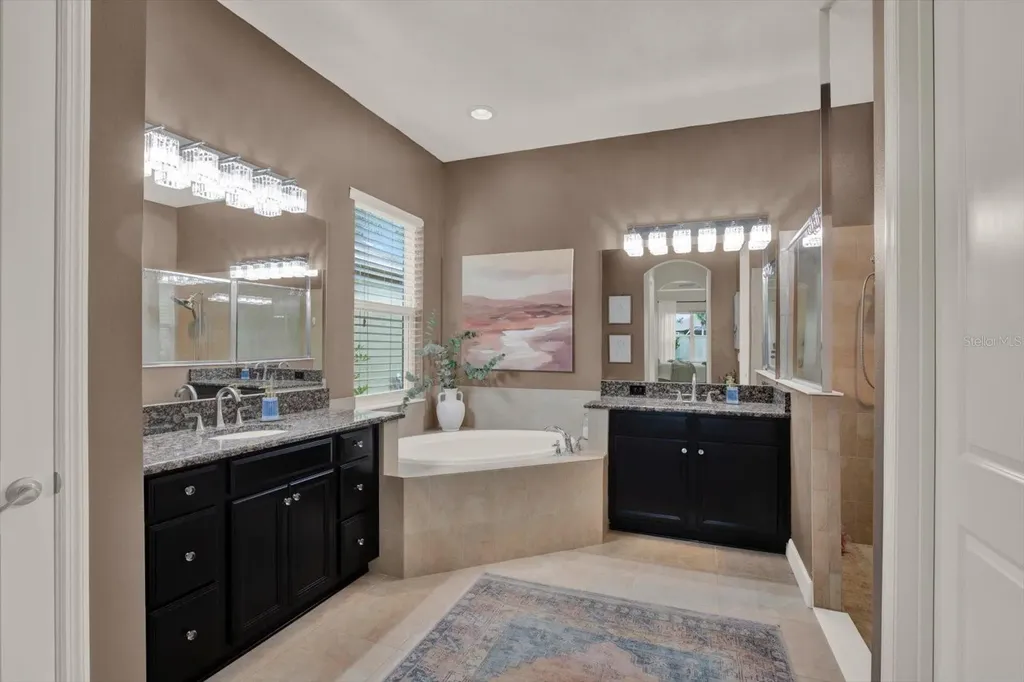 9339 Bella Vita Circle Land O Lakes FL 34637