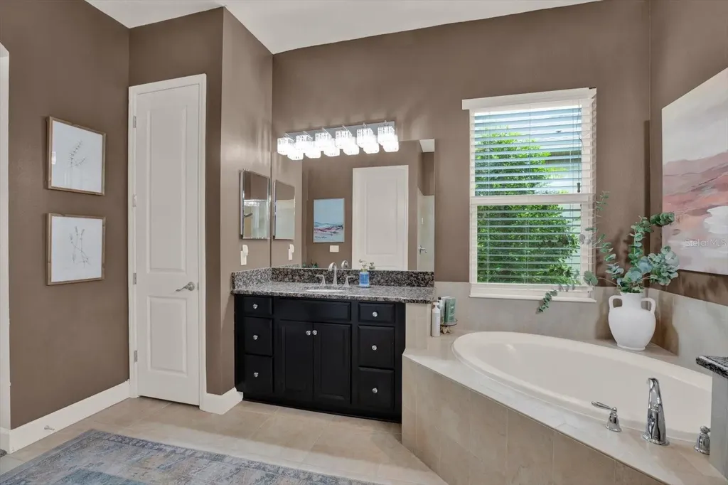 9339 Bella Vita Circle Land O Lakes FL 34637