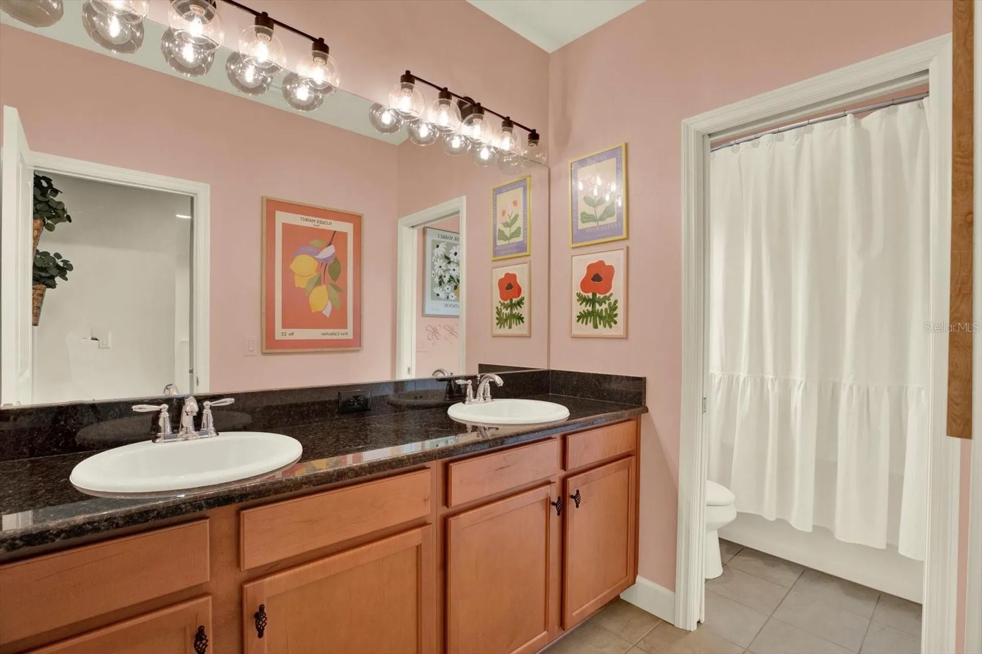 9339 Bella Vita Circle Land O Lakes FL 34637