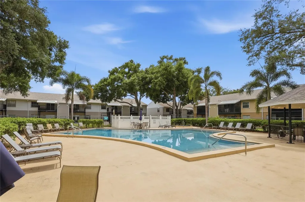 3801 N Oak Drive Tampa FL 33611