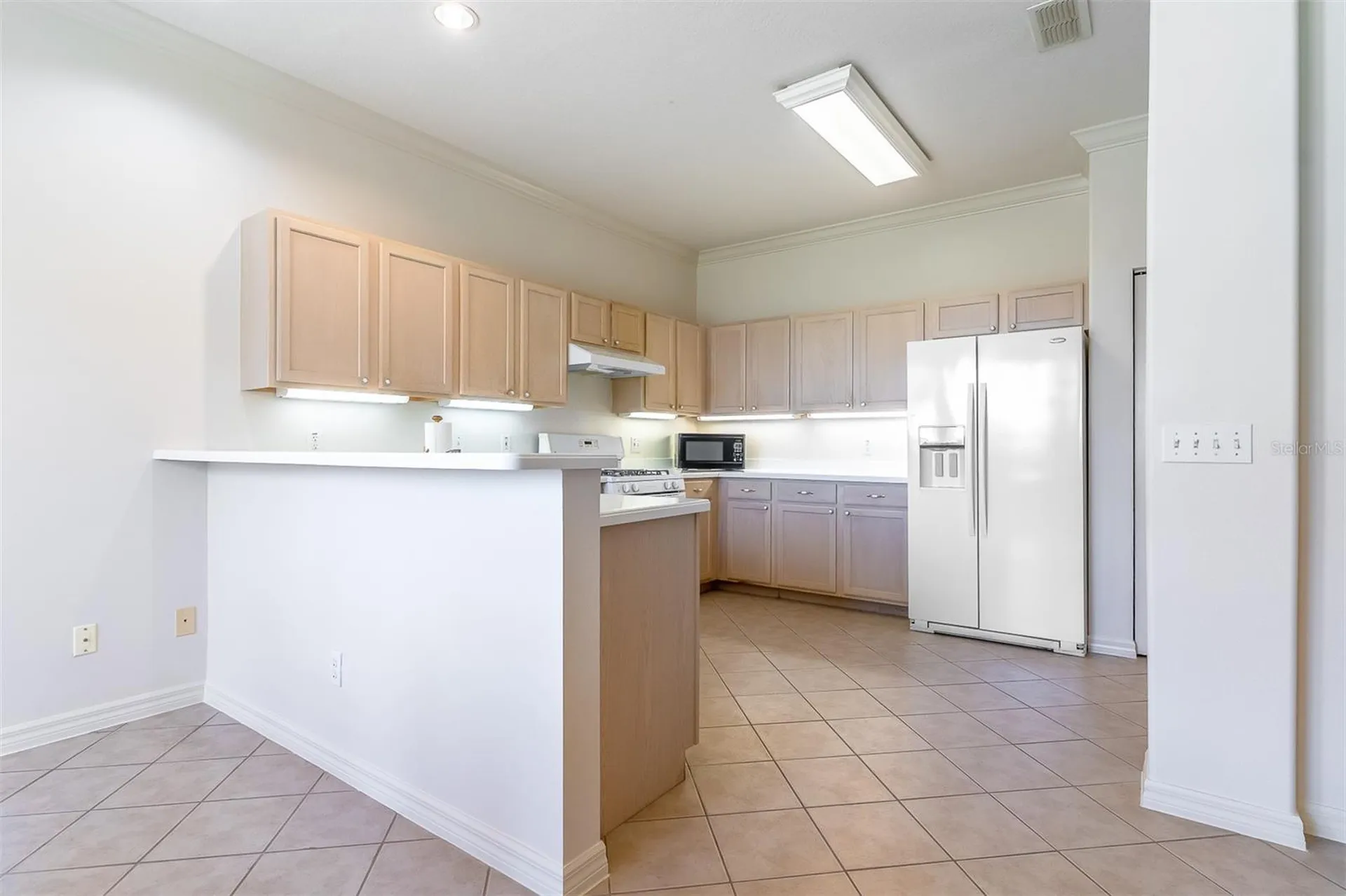 9288 SW 93rd Circle Ocala FL 34481