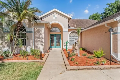 1821 Palm Ridge Place Valrico FL 33594