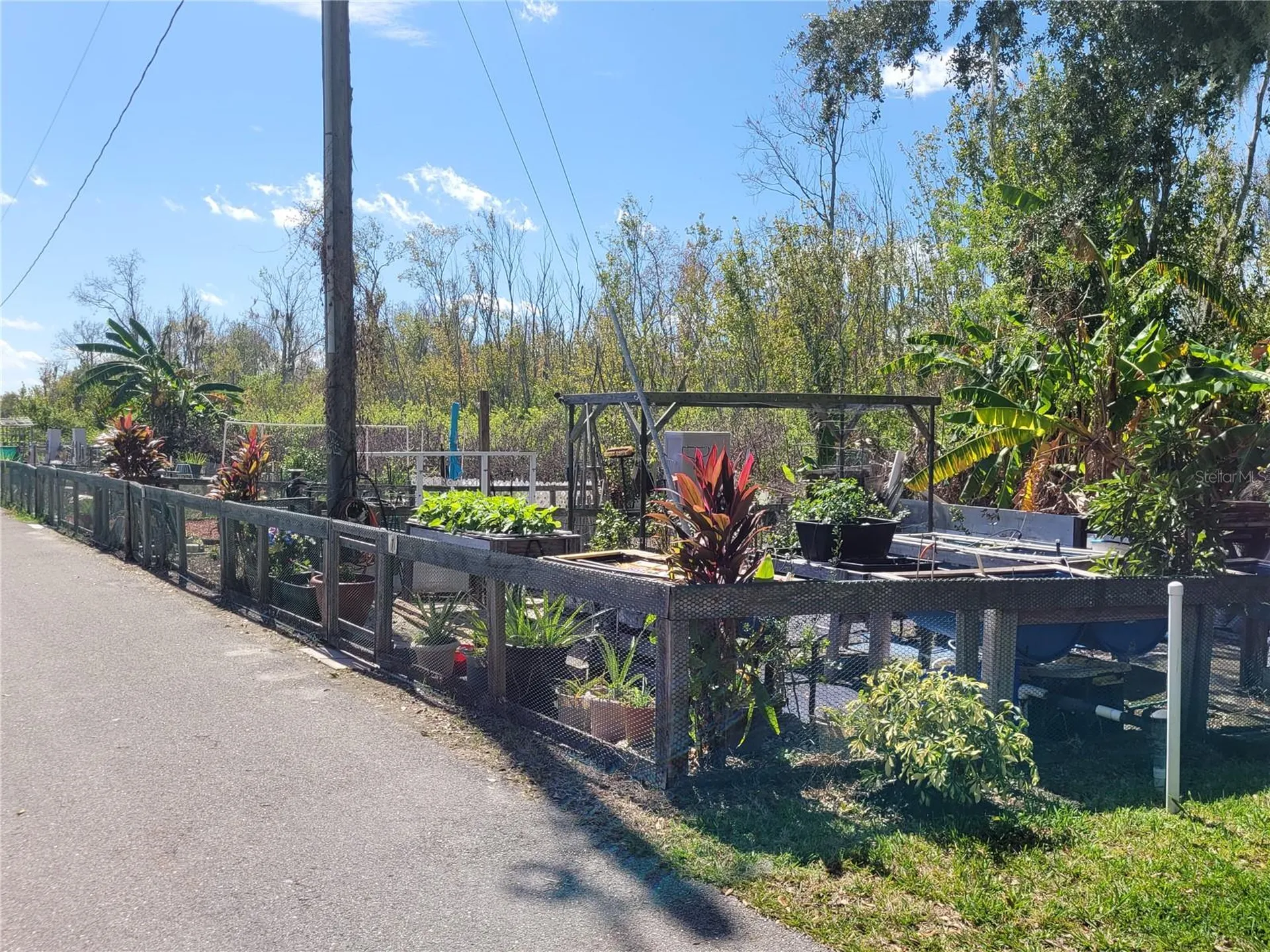88 Straphmore Drive Haines City FL 33844
