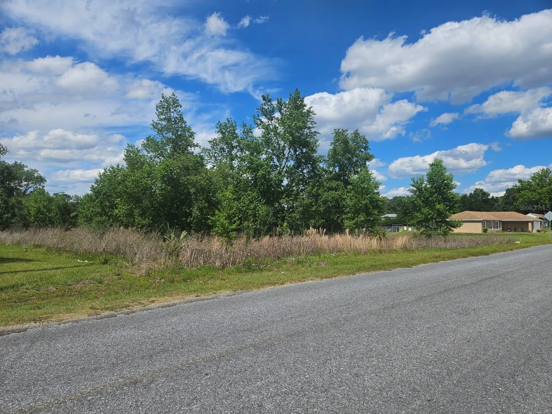 SE 140th Street Summerfield FL 34491