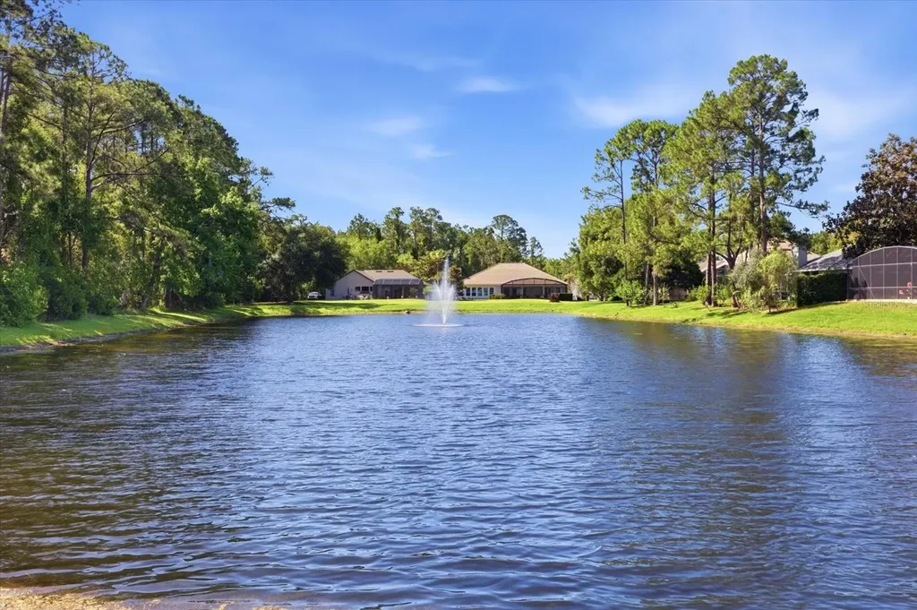 1064 Ceasars Court Mount Dora FL 32757