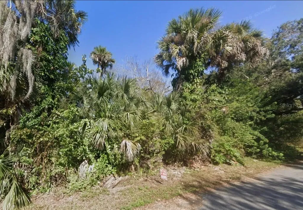 Poinciana Road Edgewater FL 32141