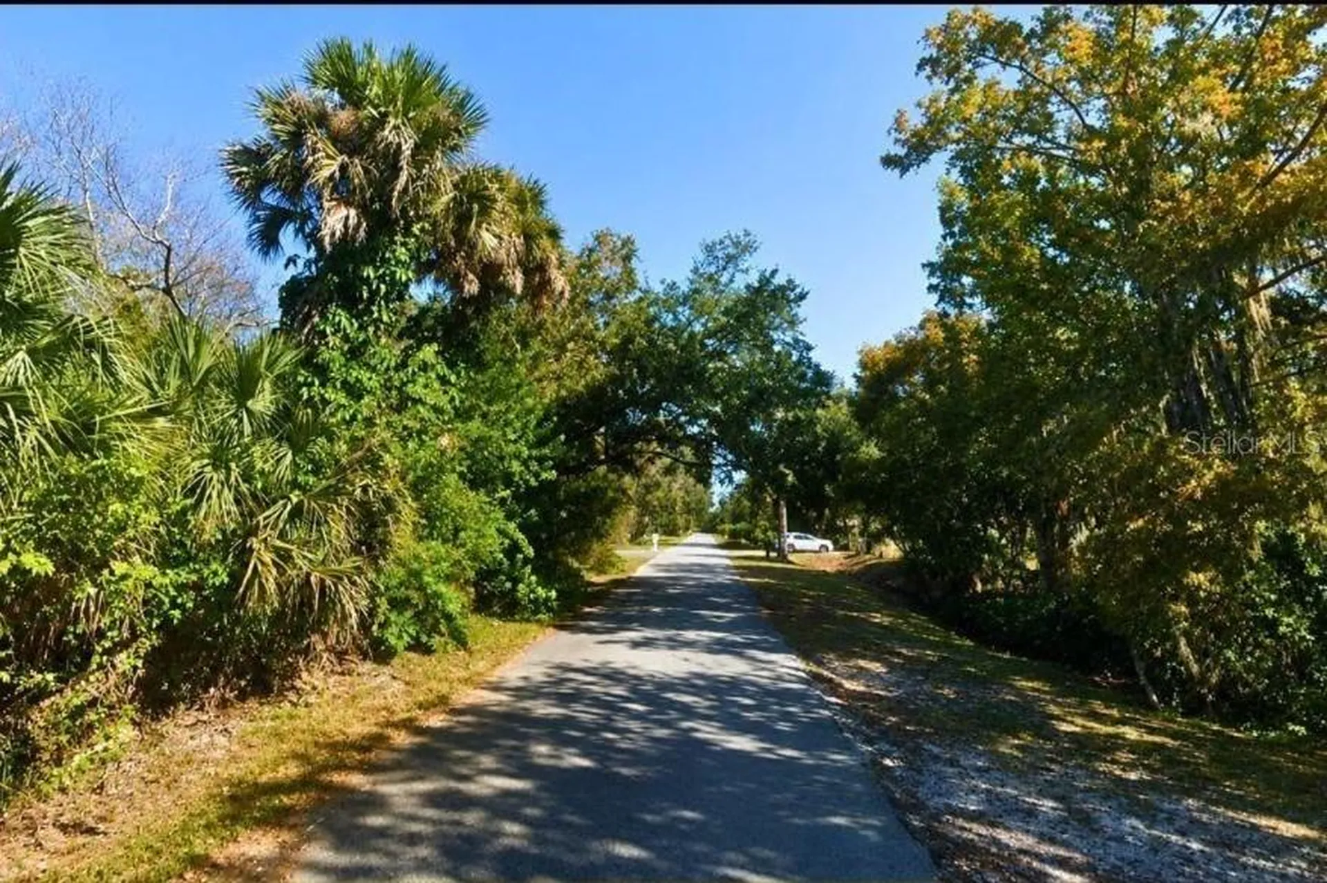 Poinciana Road Edgewater FL 32141