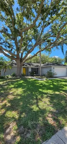 14930 Glasgow Court Tampa FL 33624