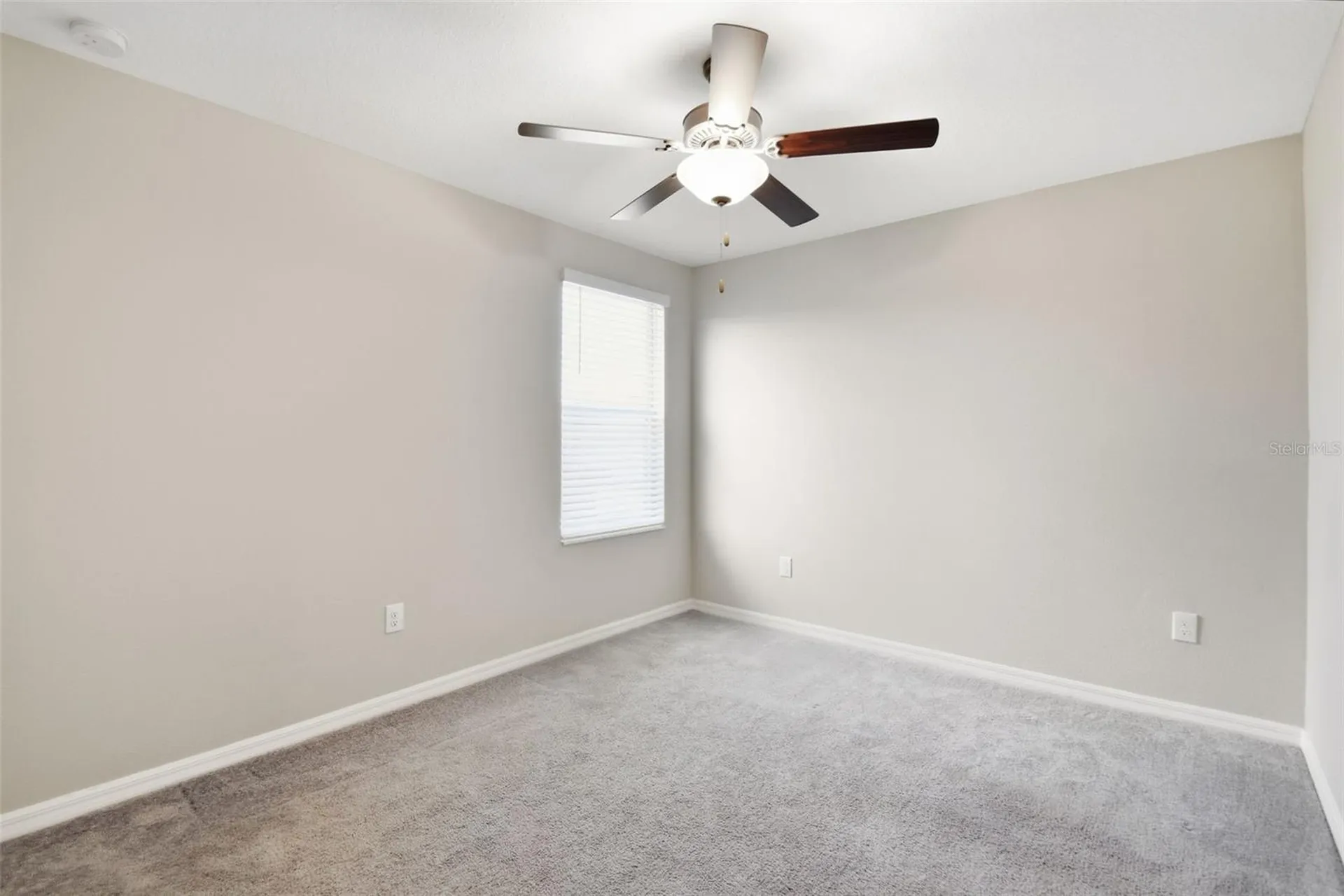 7329 Canterbury Bells Court Tampa FL 33619