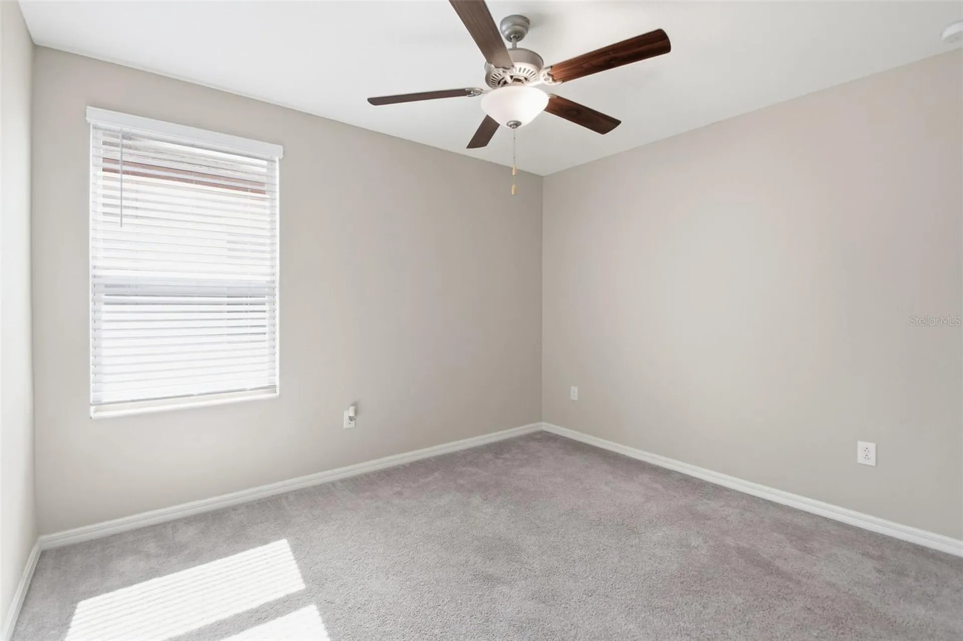 7329 Canterbury Bells Court Tampa FL 33619