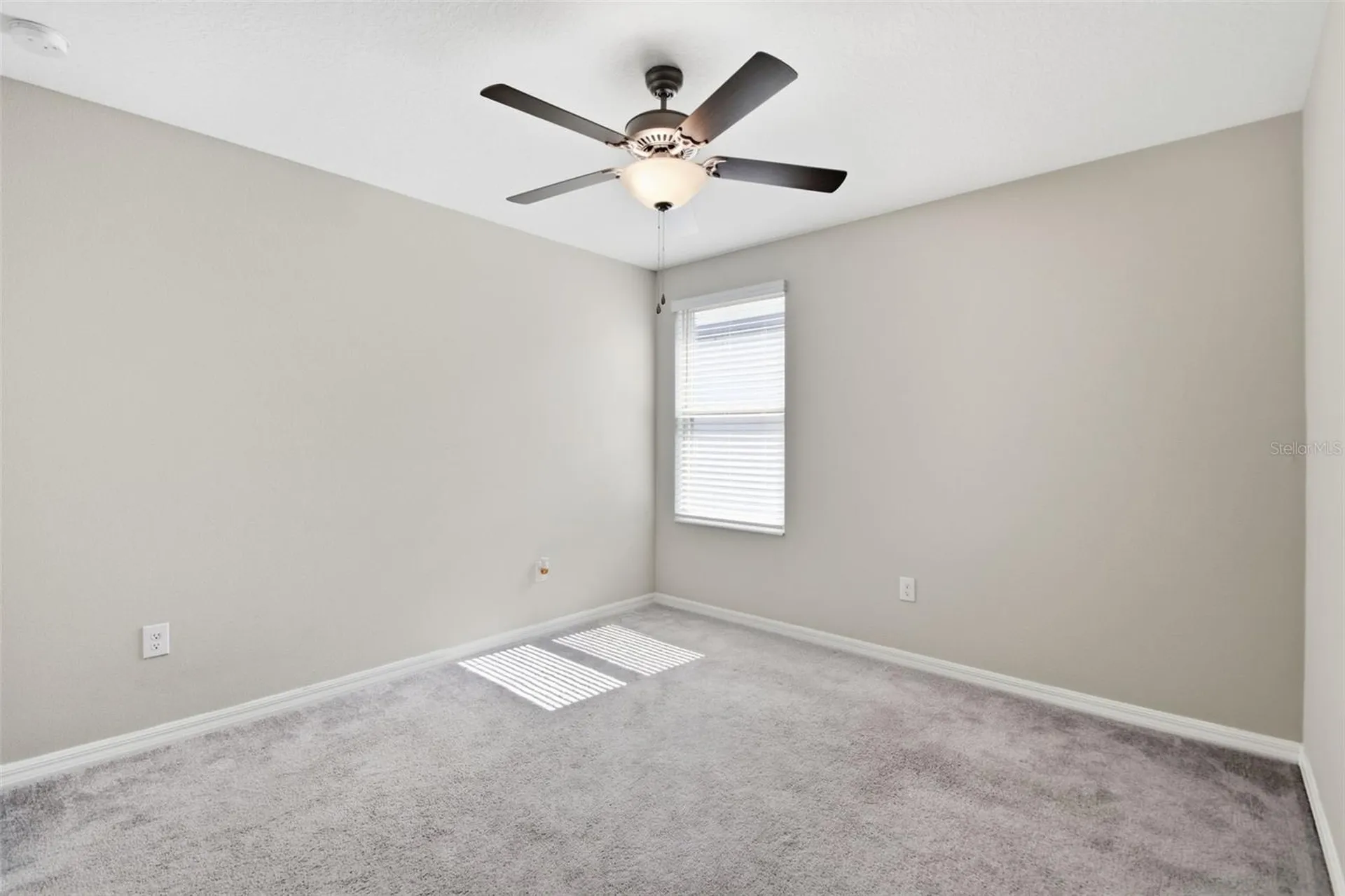 7329 Canterbury Bells Court Tampa FL 33619