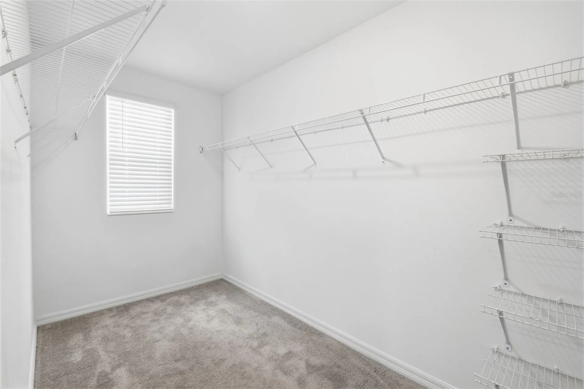 7329 Canterbury Bells Court Tampa FL 33619