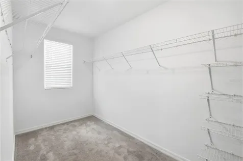 7329 Canterbury Bells Court Tampa FL 33619