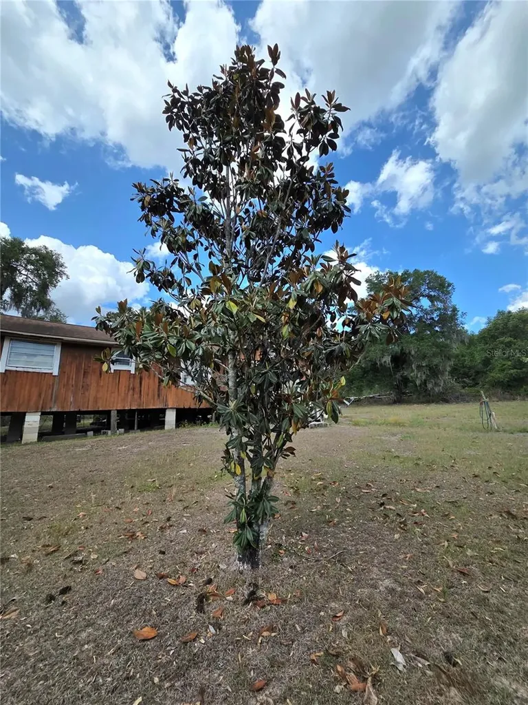 27440 Winchester Drive Brooksville FL 34602