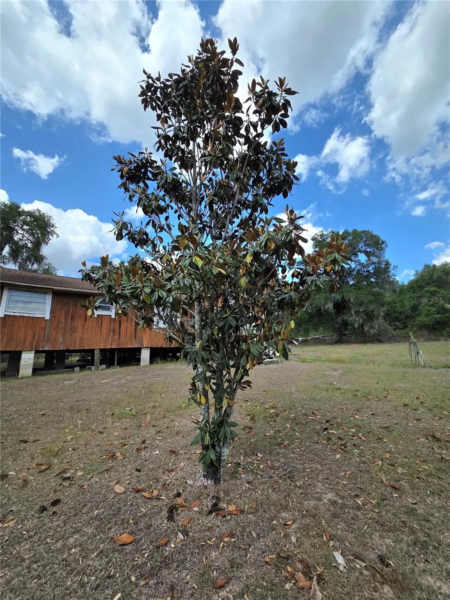 27440 Winchester Drive Brooksville FL 34602