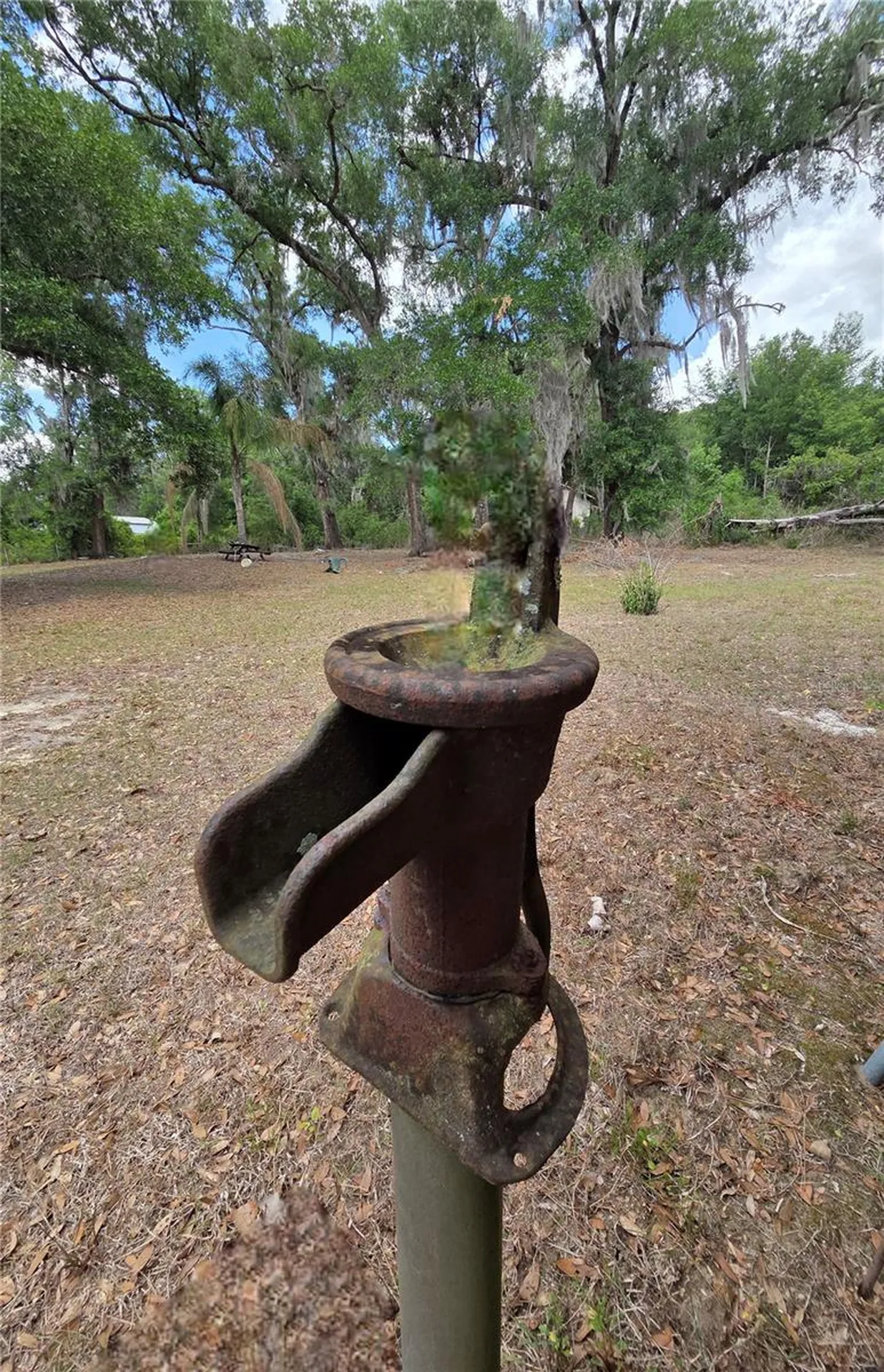 27440 Winchester Drive Brooksville FL 34602
