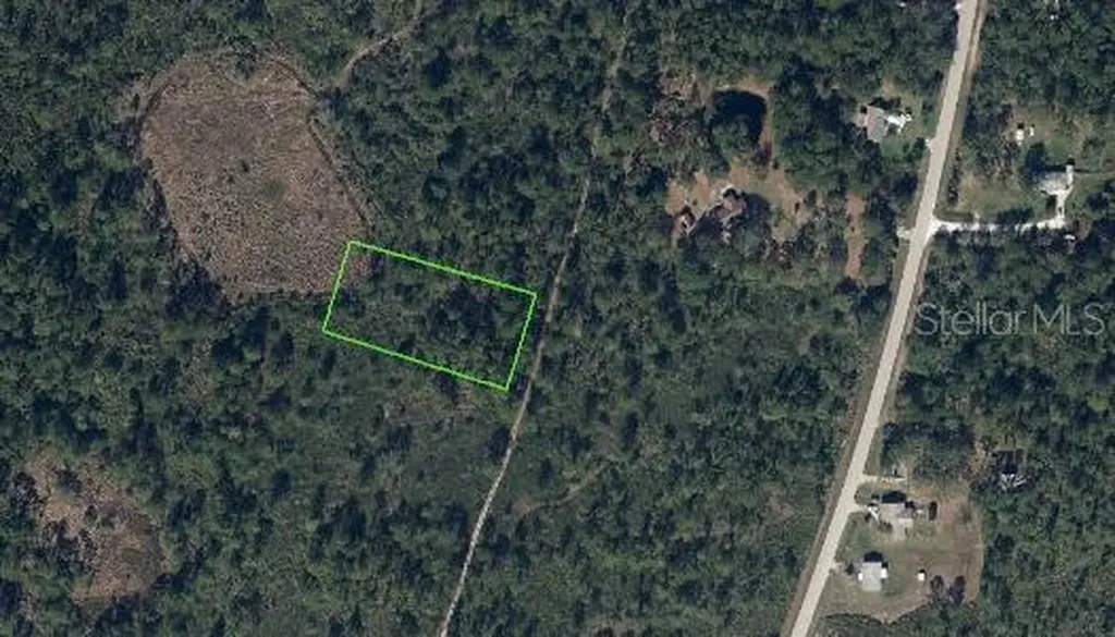 734 Dolphin Avenue Lake Placid FL 33852