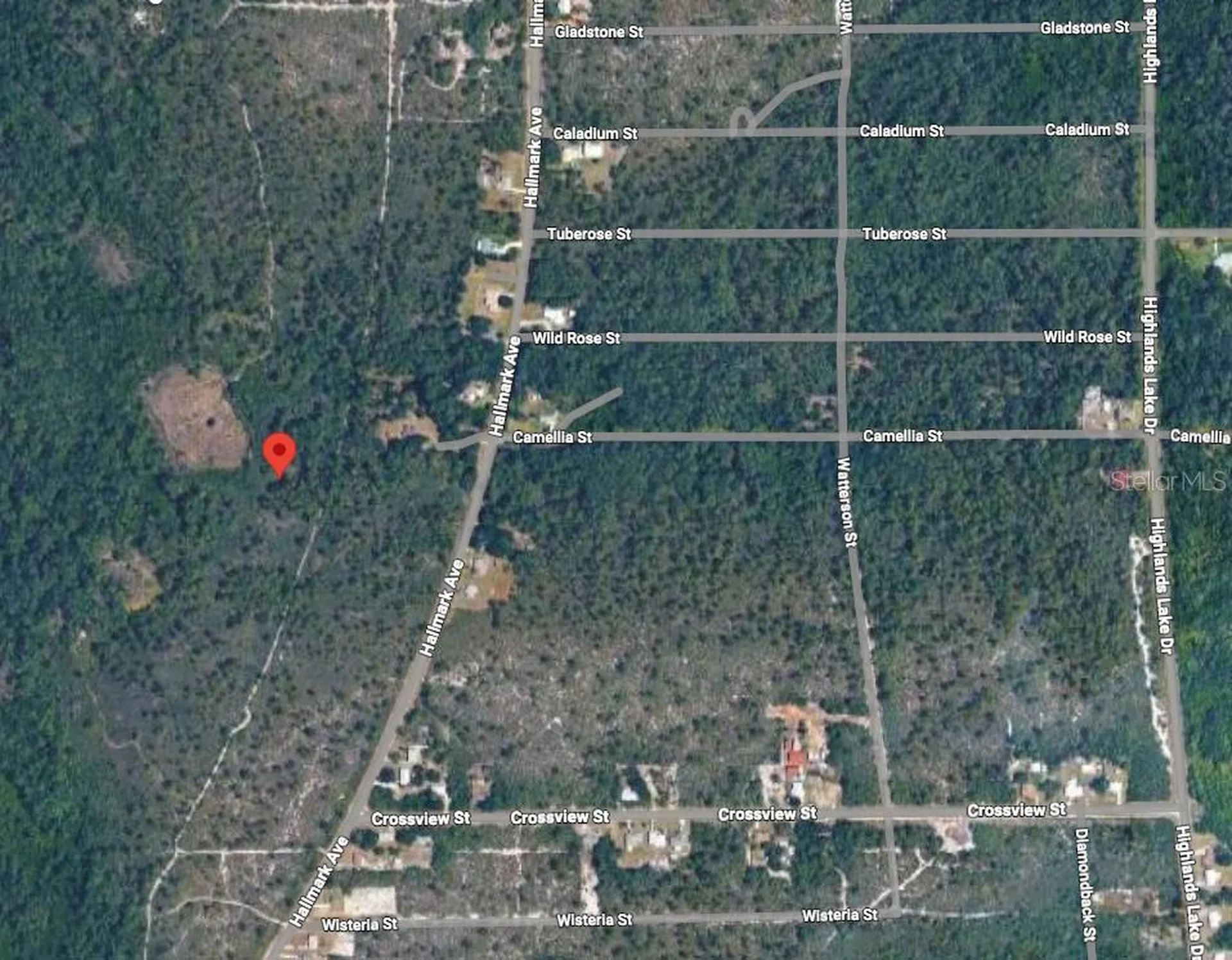 734 Dolphin Avenue Lake Placid FL 33852