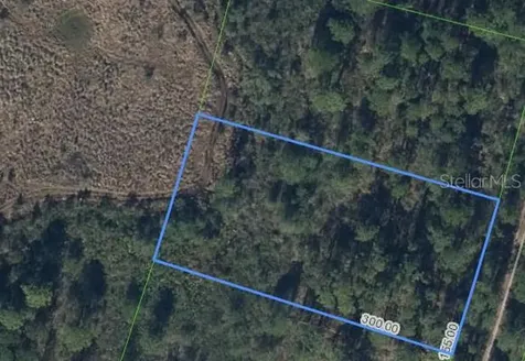 734 Dolphin Avenue Lake Placid FL 33852