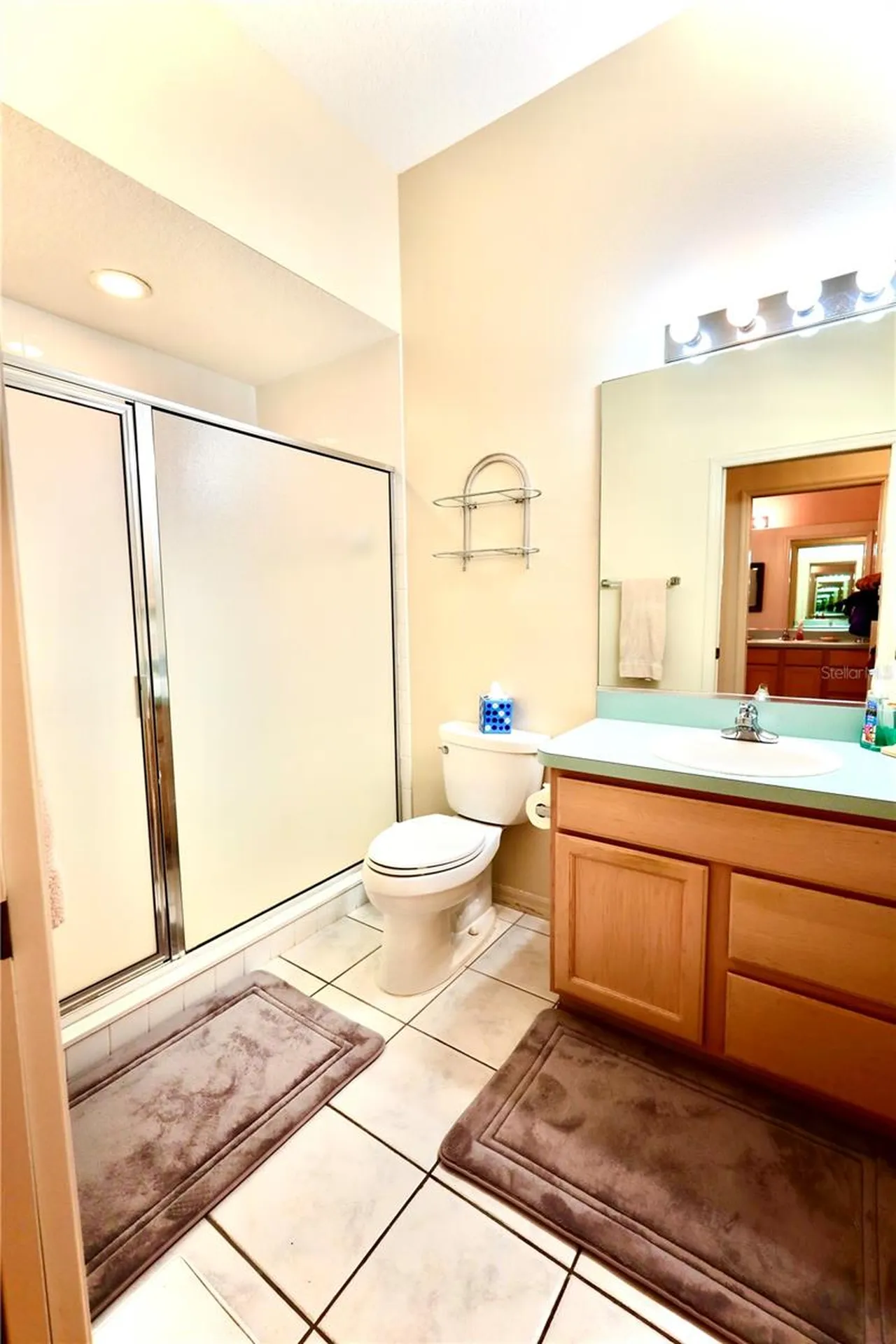 532 Carrera Drive Lady Lake FL 32159
