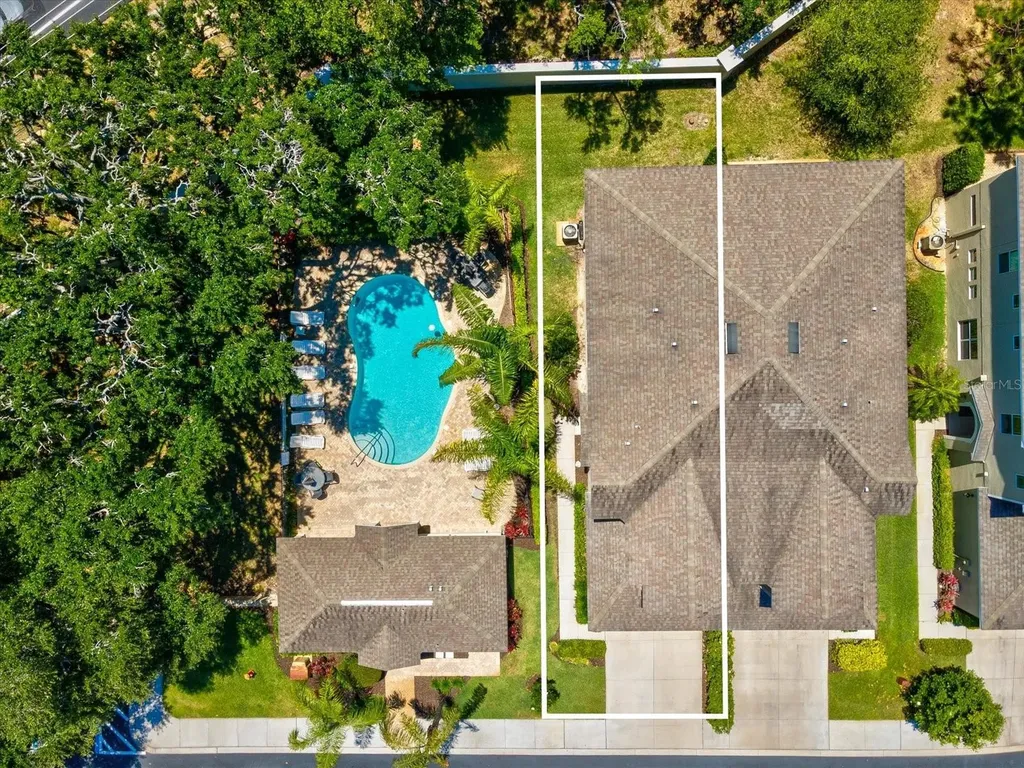 450 Harbor Springs Drive Palm Harbor FL 34683