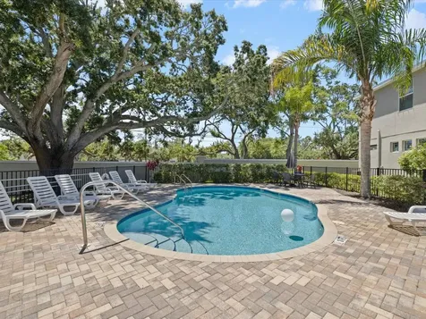 450 Harbor Springs Drive Palm Harbor FL 34683
