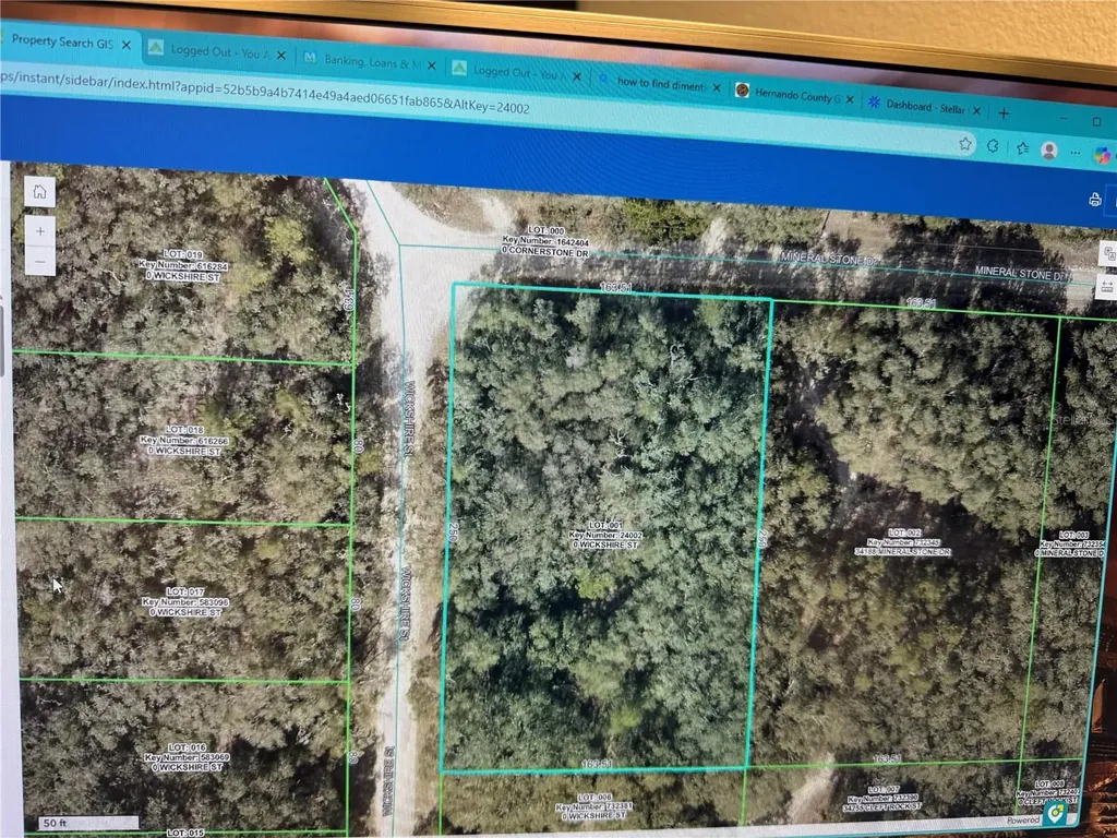 Wickshire Street Webster FL 33597