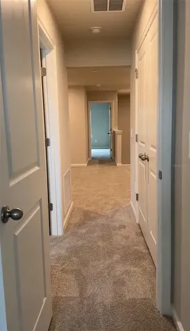 1138 Creek Valley Court Brandon FL 33511
