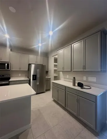 1138 Creek Valley Court Brandon FL 33511