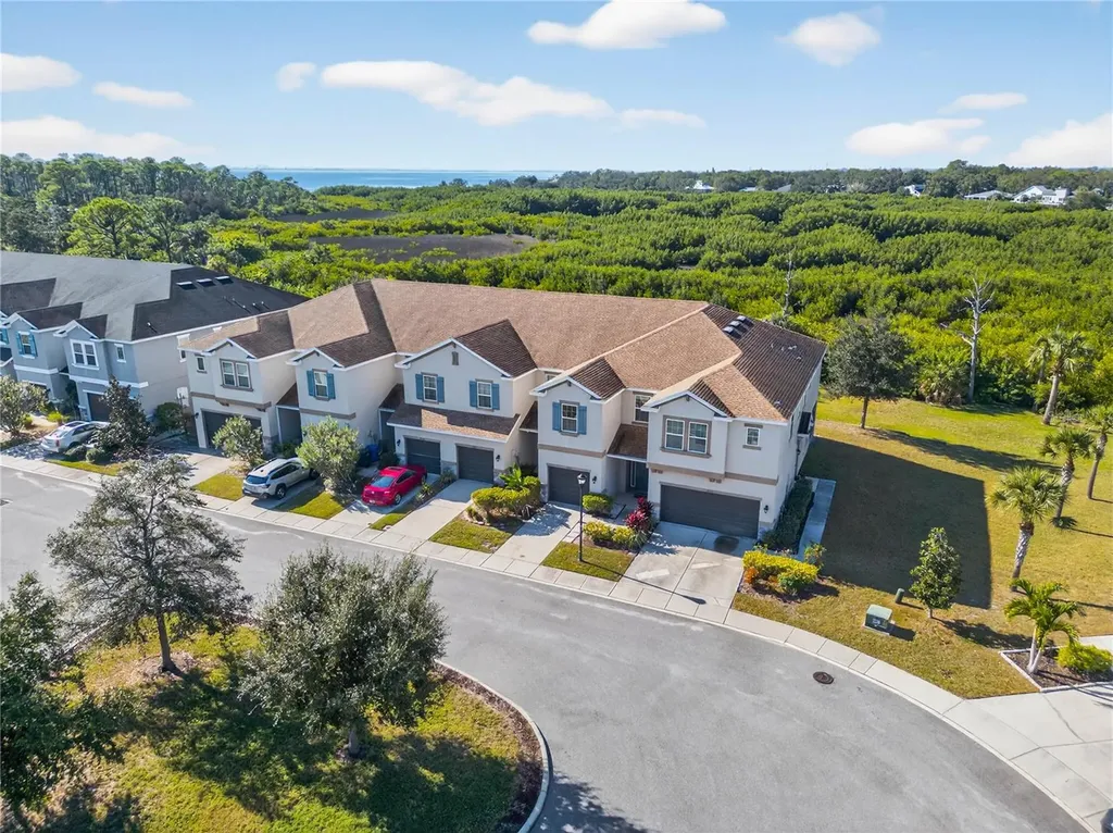 8128 Muddy Pines Place Tampa FL 33635