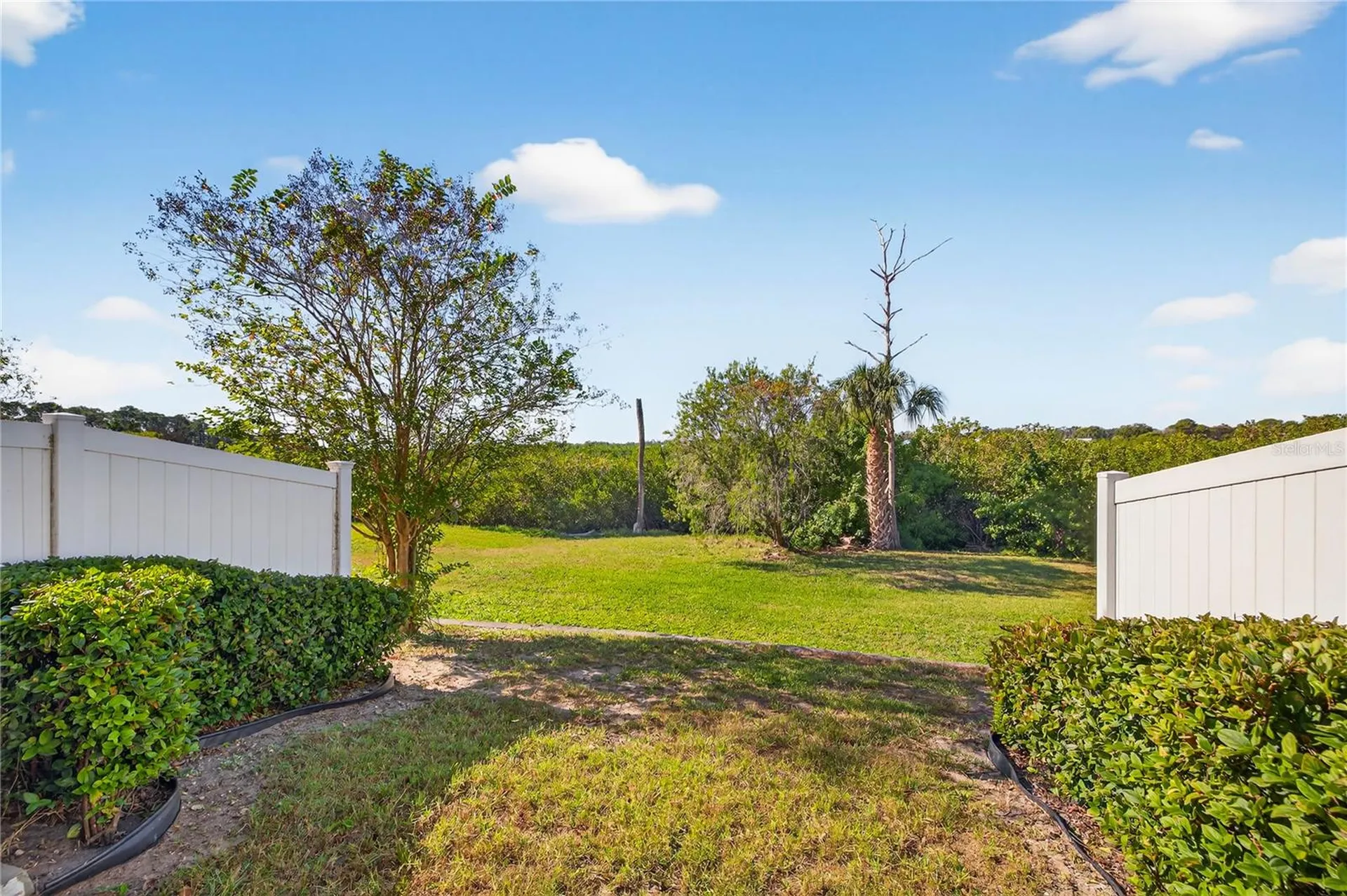 8128 Muddy Pines Place Tampa FL 33635