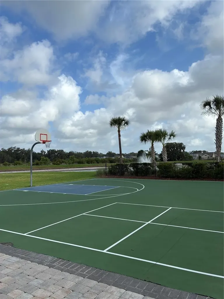 2927 Common Fig Run Wesley Chapel FL 33543