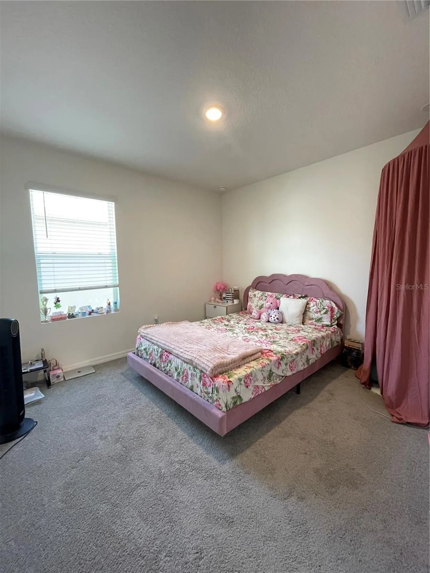 2927 Common Fig Run Wesley Chapel FL 33543