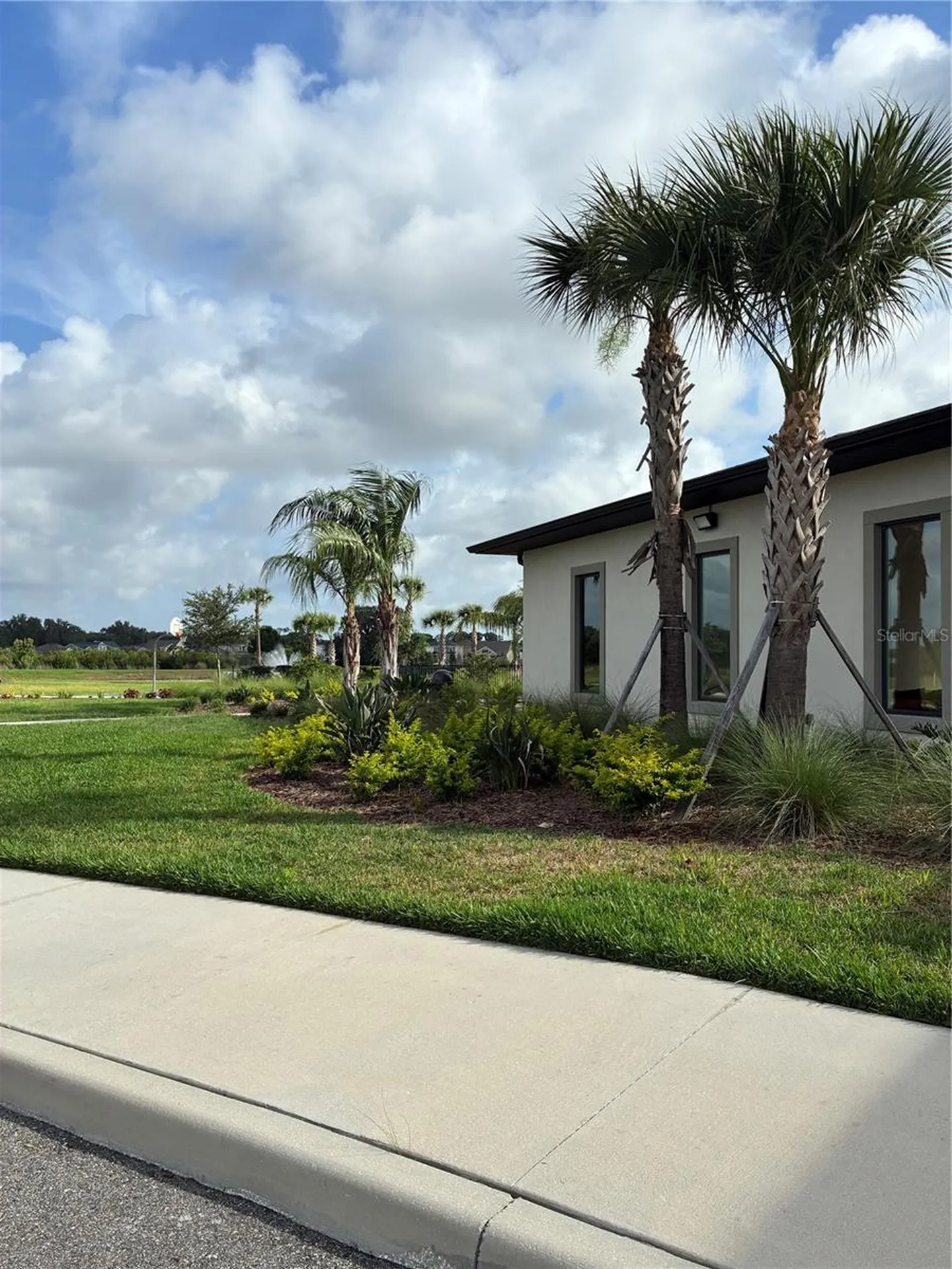 2927 Common Fig Run Wesley Chapel FL 33543