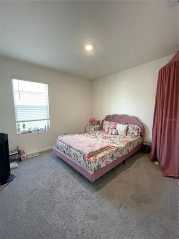 2927 Common Fig Run Wesley Chapel FL 33543