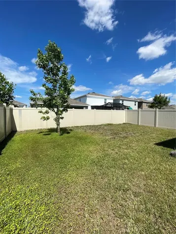 2927 Common Fig Run Wesley Chapel FL 33543