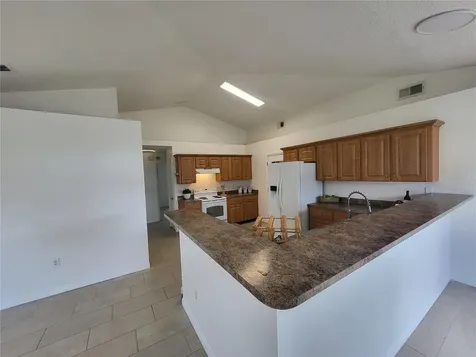 6913 Long Needle Court Orlando FL 32822