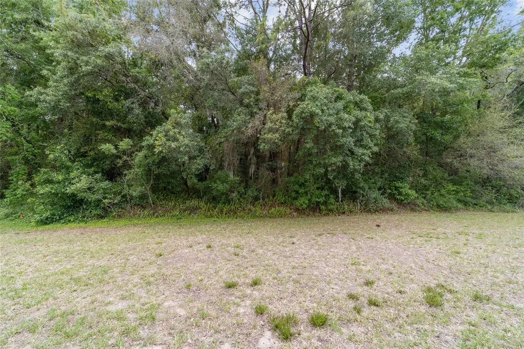 11460 SW 78th Circle Ocala FL 34476