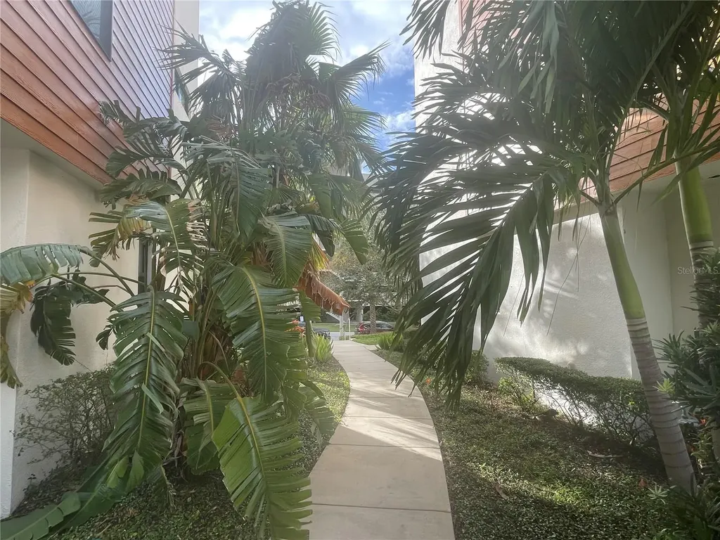 2511 N Grady Avenue Tampa FL 33607