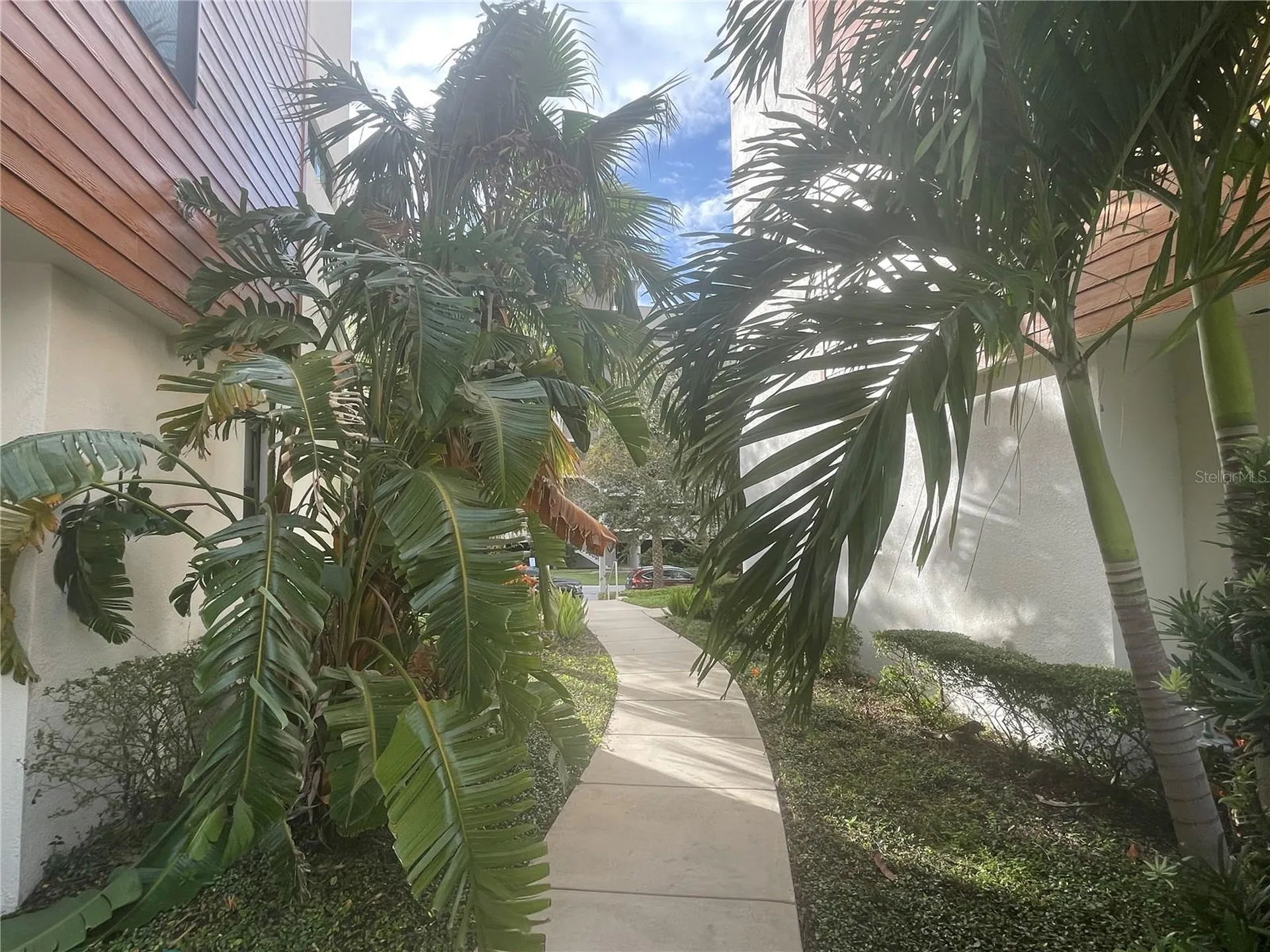 2511 N Grady Avenue Tampa FL 33607