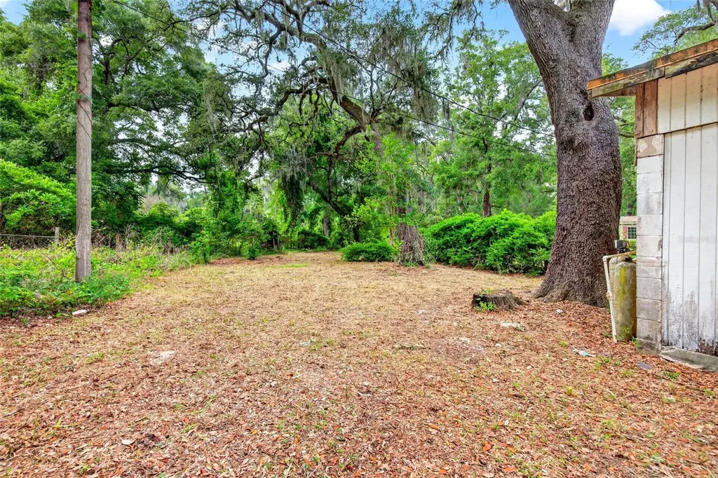 15176 NE 154th Lane Fort Mc Coy FL 32134