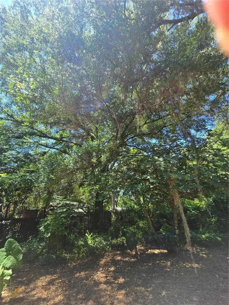 15176 NE 154th Lane Fort Mc Coy FL 32134