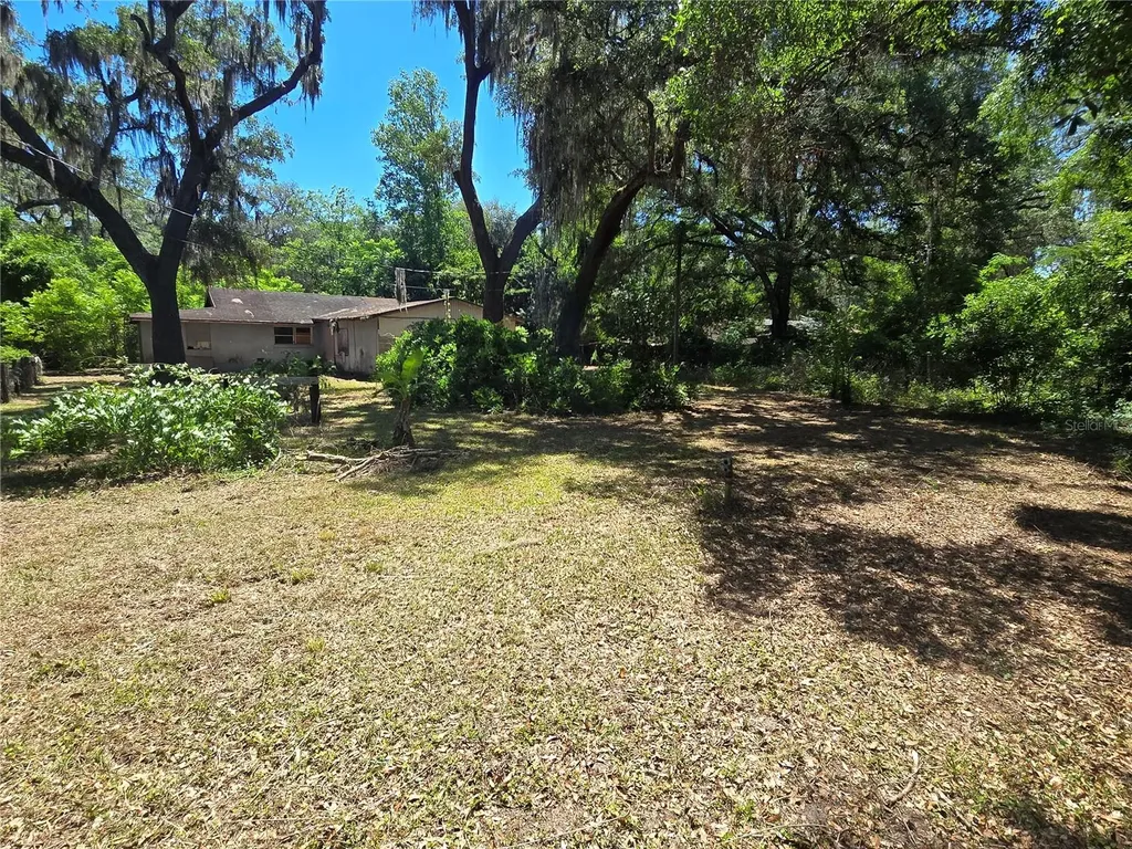 15176 NE 154th Lane Fort Mc Coy FL 32134