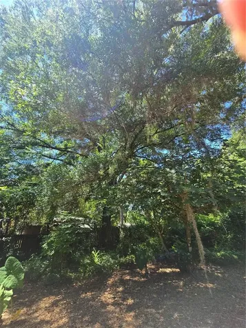15176 NE 154th Lane Fort Mc Coy FL 32134