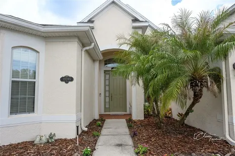 19305 Yellow Clover Drive Tampa FL 33647