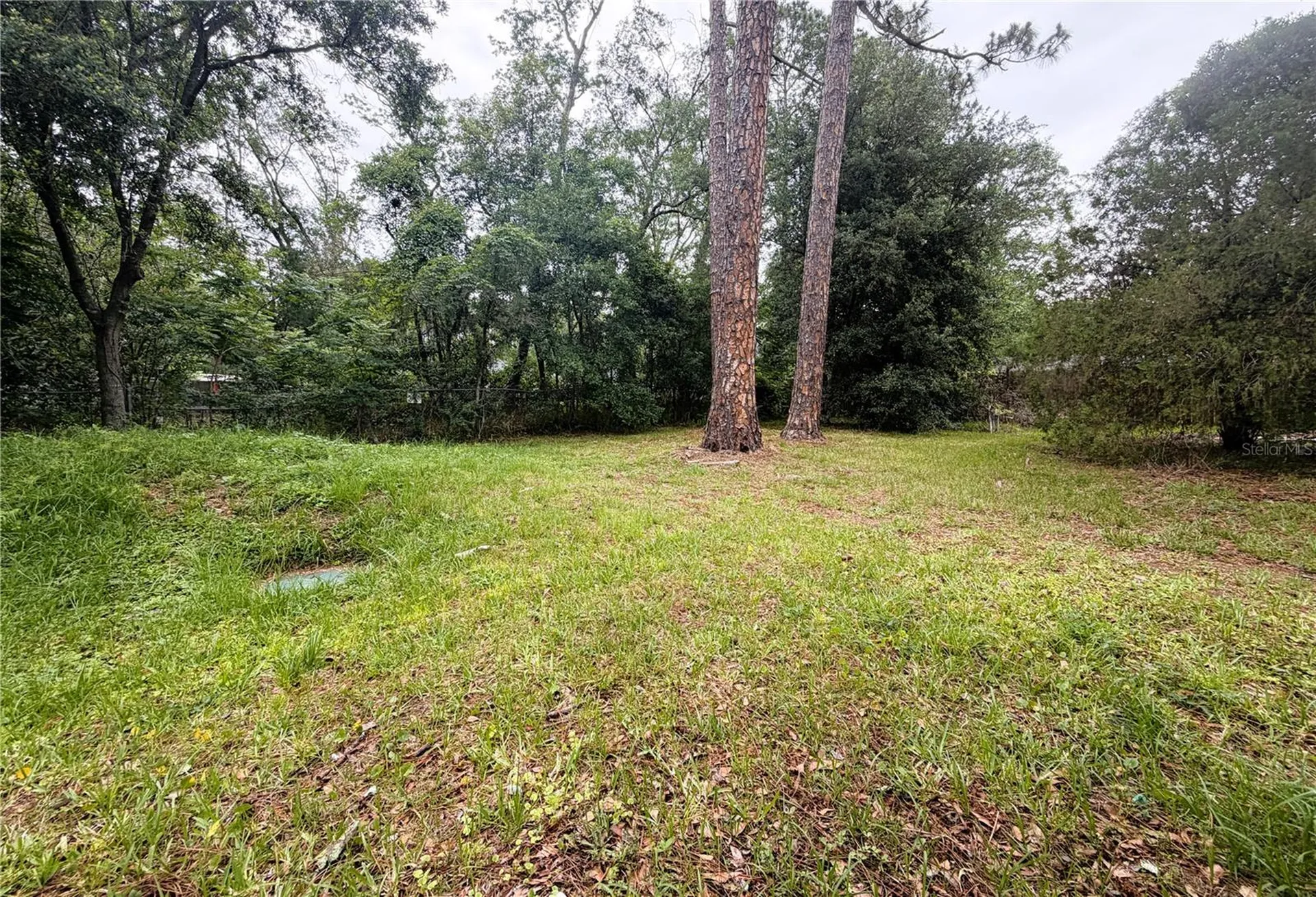 8139 Vining Street Jacksonville FL 32210