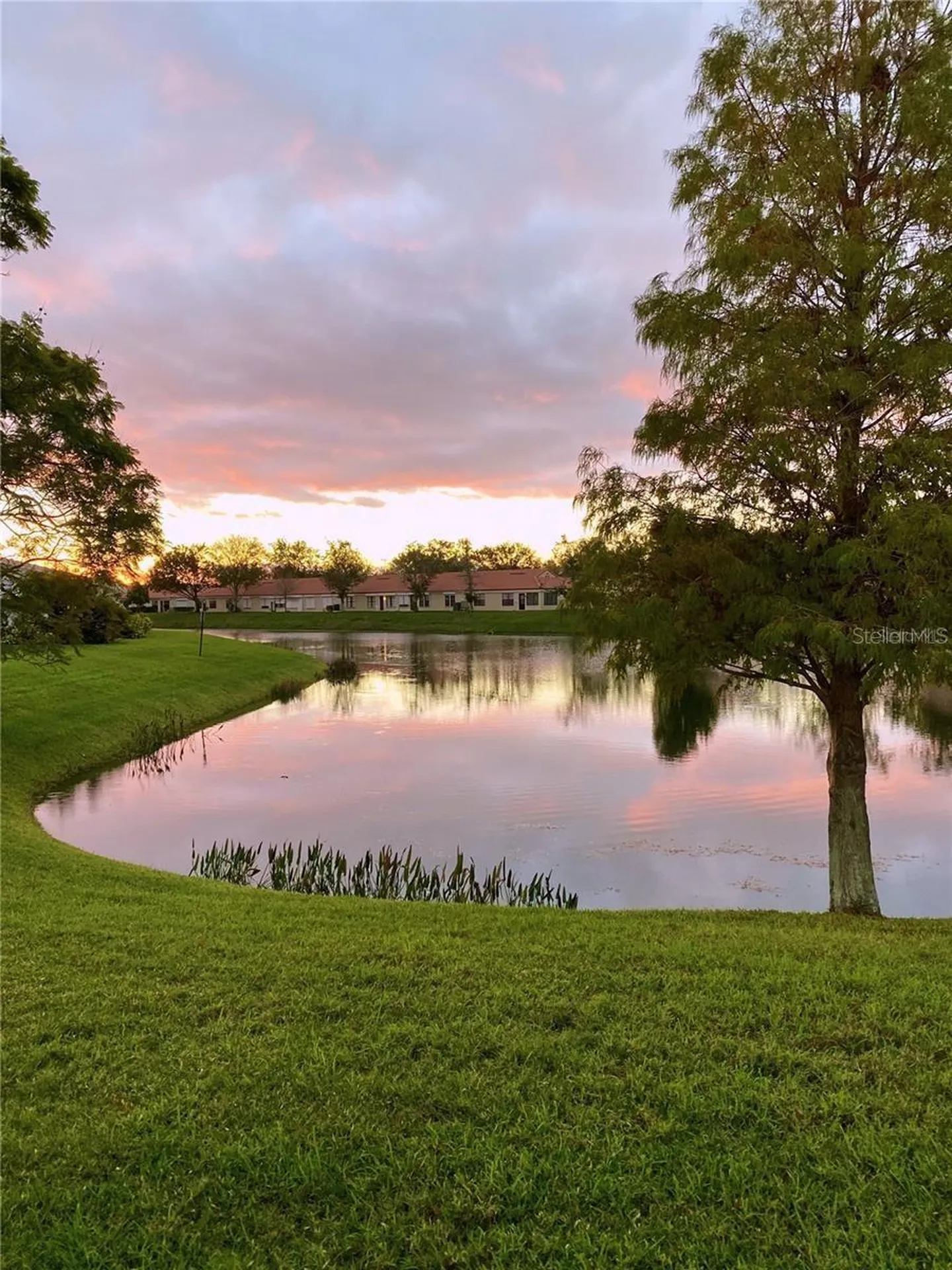 9009 41st Way N Pinellas Park FL 33782
